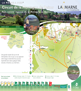 Circuit De La Montagne De Reims