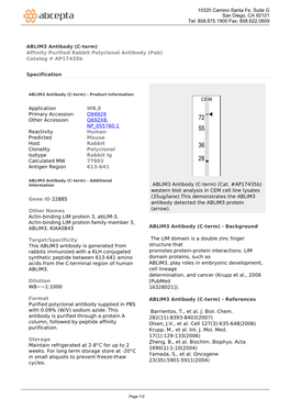 ABLIM3 Antibody (C-Term) Affinity Purified Rabbit Polyclonal Antibody (Pab) Catalog # Ap17435b