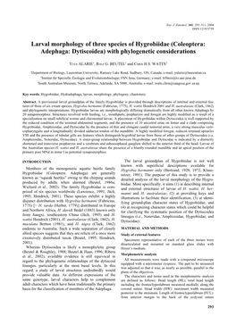Coleoptera: Adephaga: Dytiscoidea) with Phylogenetic Considerations
