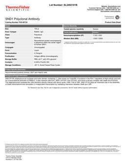 SND1 Polyclonal Antibody Catalog Number PA5-40124 Product Data Sheet