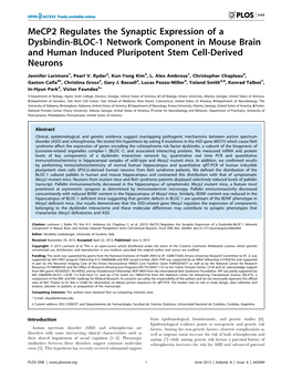 Mecp2 Regulates the Synaptic Expression of a Dysbindin-BLOC-1 Network Component in Mouse Brain and Human Induced Pluripotent Stem Cell-Derived Neurons