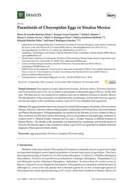 Parasitoids of Chrysopidae Eggs in Sinaloa Mexico