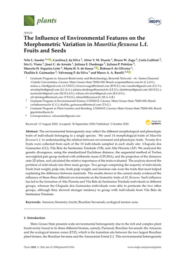 The Influence of Environmental Features on the Morphometric