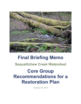 Final Briefing Memo Sequalitchew Creek Watershed Core Group Recommendations for a Restoration Plan January 14, 2014