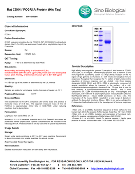 Rat CD64 / FCGR1A Protein (His Tag)