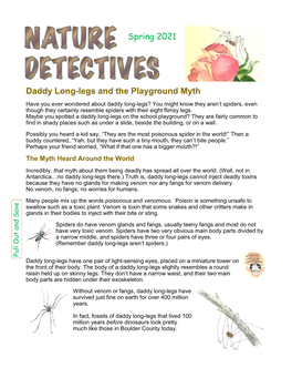 Daddy Long-Legs and the Playground Myth