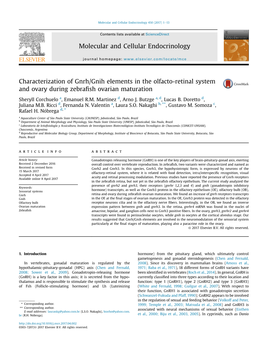 Characterization of Gnrh/Gnih Elements in the Olfacto-Retinal System and Ovary During Zebrafish Ovarian Maturation