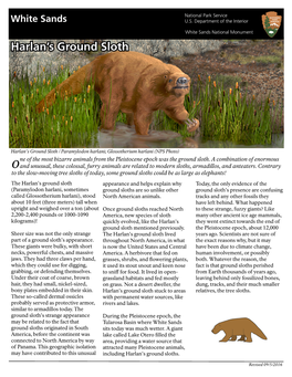 Harlan's Ground Sloth