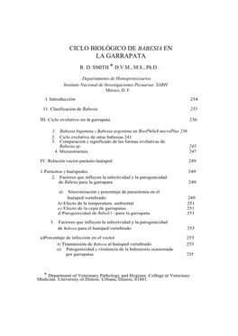 Ciclo Biologico De Babesia En La Garrapata