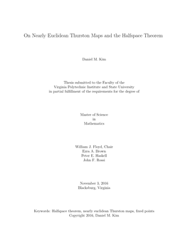 On Nearly Euclidean Thurston Maps and the Halfspace Theorem