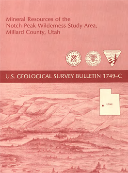 Mineral Resources of the Notch Peak Wilderness Study Area, Millard County, Utah