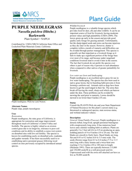 Plant Guide for Purple Needlegrass