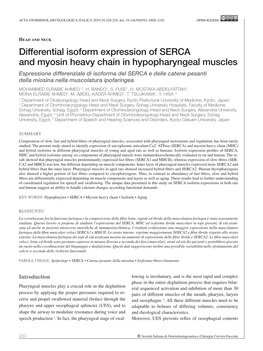 Differential Isoform Expression of SERCA and Myosin Heavy Chain In