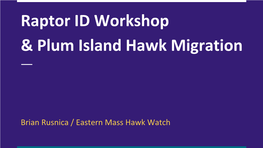 Raptor ID Workshop & Plum Island Hawk Migration