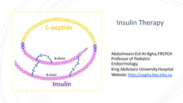 Insulin Therapy