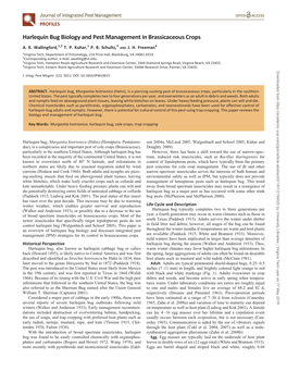 Harlequin Bug Biology and Pest Management in Brassicaceous Crops