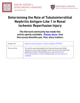 Determining the Role of Tubulointerstitial Nephritis Antigen-Like 1 in Renal Ischemic Reperfusion Injury