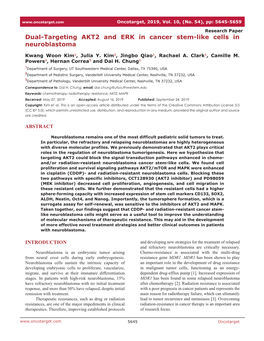 Dual-Targeting AKT2 and ERK in Cancer Stem-Like Cells in Neuroblastoma