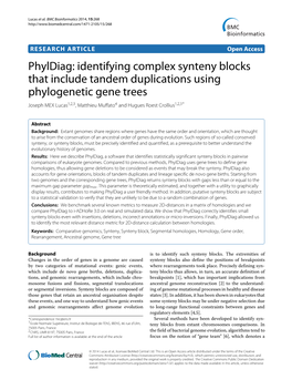 Identifying Complex Synteny Blocks That Include Tandem Duplications