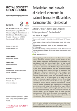 Balanidae, Balanomorpha, Cirripedia) Research Cite This Article: Checa AG, Salas C, Rodríguez- Antonio G