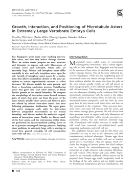 Growth, Interaction, and Positioning of Microtubule Asters in Extremely Large Vertebrate Embryo Cells