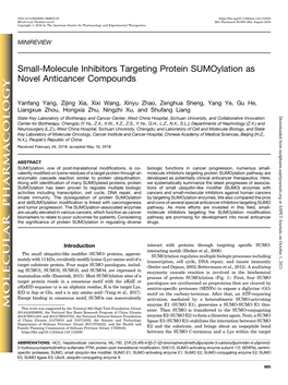 Small-Molecule Inhibitors Targeting Protein Sumoylation As Novel Anticancer Compounds