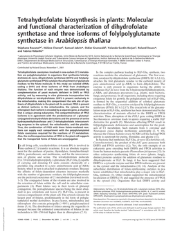 Molecular and Functional Characterization of Dihydrofolate Synthetase and Three Isoforms of Folylpolyglutamate Synthetase in Arabidopsis Thaliana