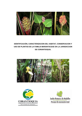 Identificación, Caracterizacion Del Habitat, Conservacion Y Uso De Plantas De La Familia Marantaceae En La Jurisdiccion De Corantioquia