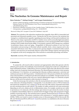 The Nucleolus: in Genome Maintenance and Repair