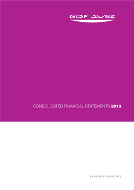 2013 Consolidated Financial Statements and Activities Report