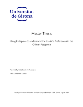 Master Thesis