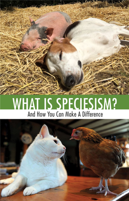 WHAT IS Speciesism? and How You Can Make a Difference PUTTING SPECIESISM on OUR RADAR