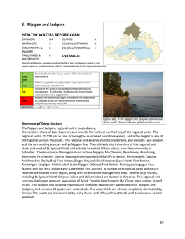 6. Nipigon and Jackpine HEALTHY WATERS REPORT CARD Summary/ Description