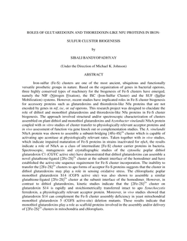 Roles of Glutaredoxin and Thioredoxin-Like Nfu Proteins in Iron