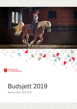 Budsjett 2019