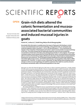 Grain-Rich Diets Altered the Colonic Fermentation and Mucosa-Associated Bacterial Communities and Induced Mucosal Injuries in Goats