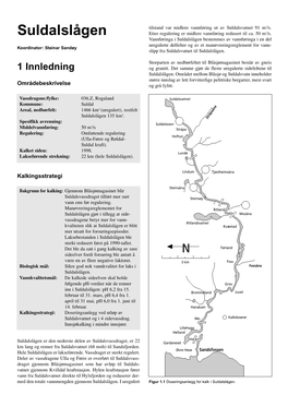 Suldalslågen Etter Regulering Er Midlere Vannføring Redusert Til Ca