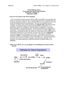 IV= Chapter 13. Genetic Code BMB 400, Part Three Gene Expression