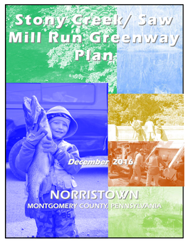 Stony Creek/ Saw Mill Run Greenway Plan