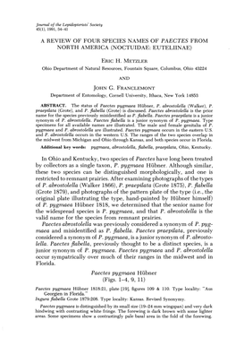 A Review of Four Species Names of Paectes from North America (Noctuidae: Euteliinae)