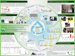 Biosynthetic Engineering and Green Manufacturing Applications for Siderophore Yersiniabactin