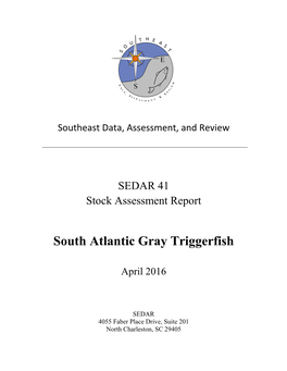 South Atlantic Gray Triggerfish