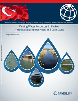 Report Valuing Water Resources in Turkey