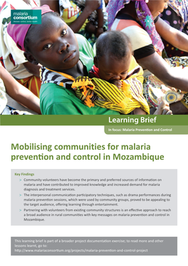 Mobilising Communities for Malaria Prevention and Control in Mozambique