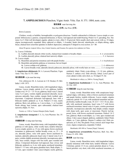 Flora of China 12: 208–210. 2007. 7. AMPELOCISSUS Planchon, Vigne