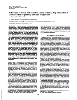 Activation of Factor VII Bound to Tissue Factor: a Key Early Step in the Tissue Factor Pathway of Blood Coagulation (Hemost/Factor X/Factor IX) L