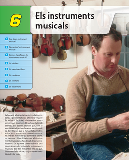 Els Instruments Musicals?