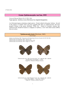 100 Genus Ypthimomorpha Van