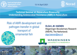 Risk of AMR Development and Pathogen Transfer in Global OLGA L.M