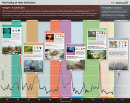 Making of Mass Extinctions Poster 2015